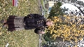 "Осень! Моя любимая пора года осенью!". Лариса Ивлиева во дворе фабрики "Элема". РБ г. Минск 2010 г.