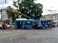 9 мая 2014 года "Синий троллейбус" стартует в городе Брно, Чехия (орг. Татьяна Сизова).